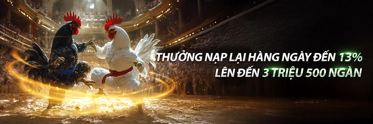 Sân đấu đá gà trực tuyến FI88