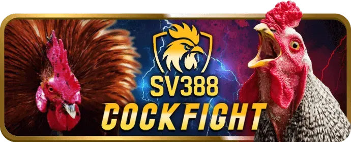 Minh họa các loại cookie được fi88 link vào sử dụng để quản lý dữ liệu người dùng